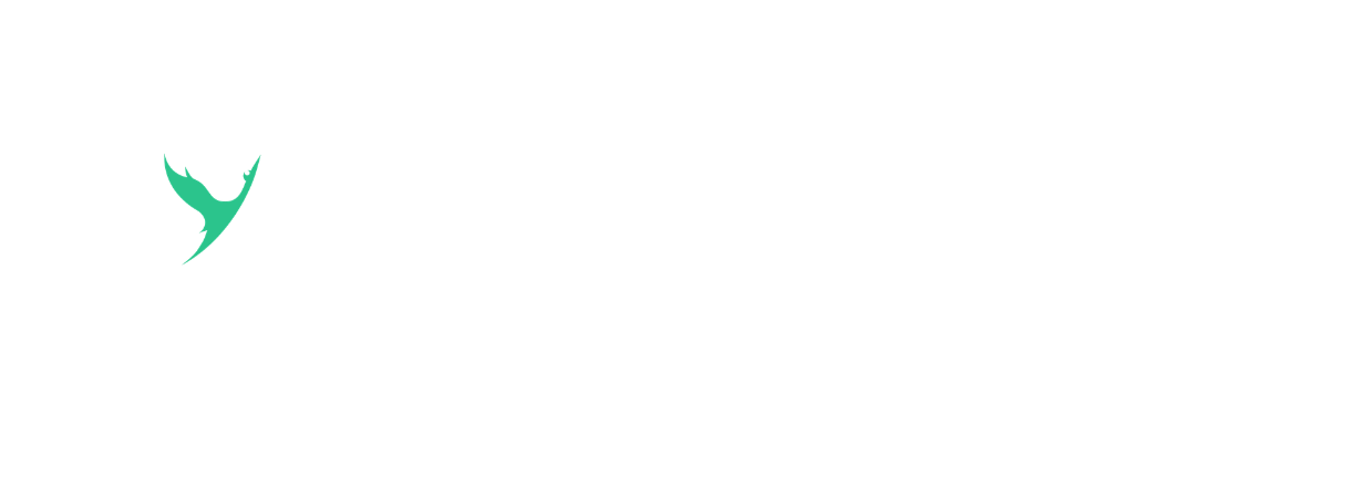 Cyber Booster